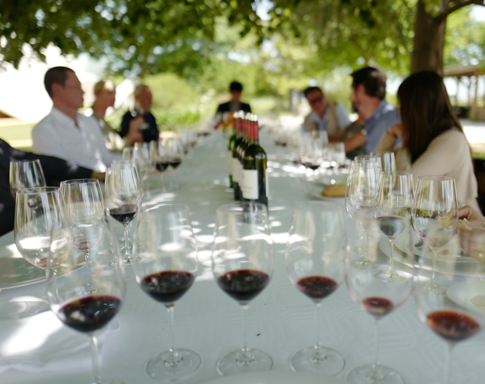 Guests enjoying a wine tasting party around a long outdoor table